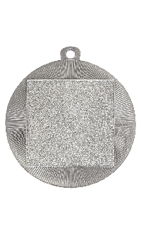 2nd Place Wayfare Medal Silver1