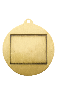 Ice Hockey Econo Medal Gold1