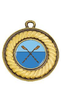 Achievement Medal Gold