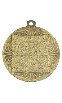 Budget Distinction Medal Gold1