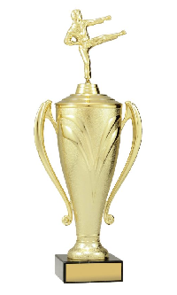 Gold Champion Cup 385mm
